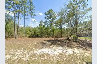 2814 W Parnell Lane, Dunnellon, FL 34433 - Photo 1
