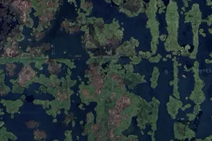 462 Emerald Grv Dr, Apopka, FL 32703 - Photo 1