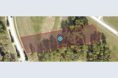 16404 Pendio Drive, Montverde, FL 34756 - Photo 1