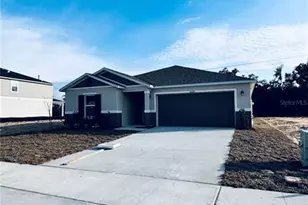 20320 Lavender Bloom Loop, Mount Dora, FL 32757 - Photo 1