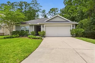 3199 Angora Bay Dr, Middleburg, FL 32068 - Photo 1