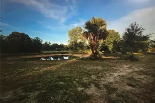 16431 NW 254th St, Okeechobee, FL 34972 - Photo 1