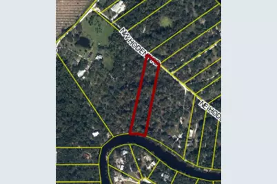 1091 NW Hodent Road, Arcadia, FL 34266 - Photo 1