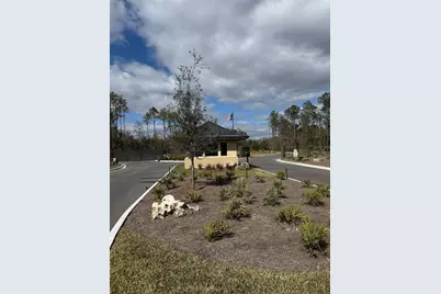 18581 Skylake Village Drive, Lutz, FL 33549 - Photo 1