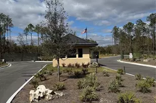 18581 Skylake Village Dr, Lutz, FL 33549 - Photo 1