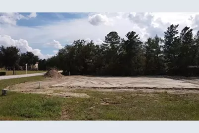 1553 Cumin Drive, Kissimmee, FL 34759 - Photo 1