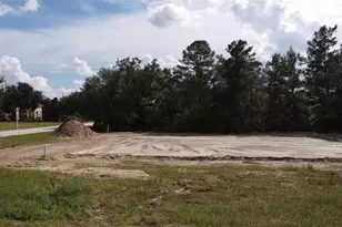 1551 Cumin Dr, Kissimmee, FL 34759 - Photo 1