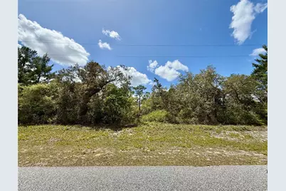 Thyme Court, Eustis, FL 32736 - Photo 1
