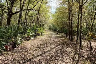 1991 NW Girl Scout Rd, Arcadia, FL 34266 - Photo 1