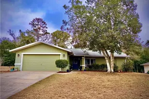 8 Hollyhock Ct, Homosassa, FL 34446 - Photo 1