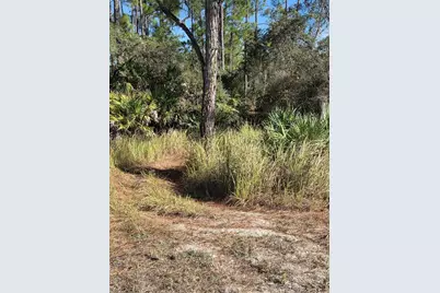 1351 R E Byrd Rd, Frostproof, FL 33843 - Photo 1