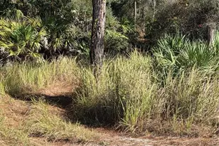 1351 R E Byrd Rd, Frostproof, FL 33843 - Photo 1