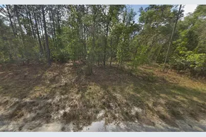 Resort Avenue, Weeki Wachee, FL 34614 - Photo 1