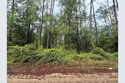 Seminole Avenue, Interlachen, FL 32148 - Photo 1