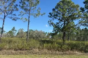 15942 NW 312th St, Okeechobee, FL 34972 - Photo 1