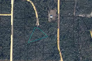 Lot 26 Andrew Ct, Alford, FL 32420 - Photo 1