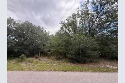 1012 Wildflower Street, Lake Placid, FL 33852 - Photo 1