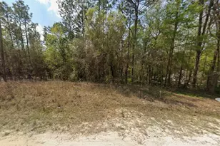 SW 45th Ln Rd, Ocala, FL 34481 - Photo 1