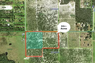 McClellan Rd, Frostproof, FL 33843 - Photo 1