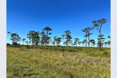 E County Line Road, Fort Meade, FL 33841 - Photo 1
