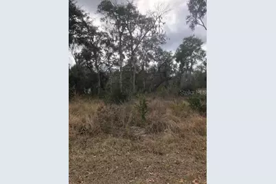 1708 N Retreat Drive, Inverness, FL 34453 - Photo 1