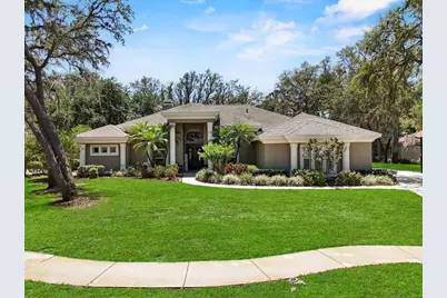 6007 Hammock Hill Avenue, Lithia, FL 33547 - Photo 1