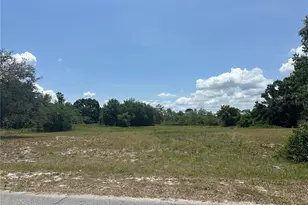 Jackson St, Lake Wales, FL 33859 - Photo 1