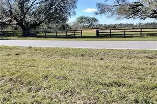 10069 Co Rd 555, Fort Meade, FL 33841 - Photo 1