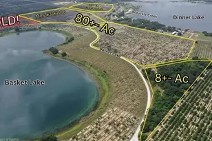 1123 Basket Lake Rd, Avon Park, FL 33825 - Photo 1