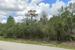 Woodstork Way, Frostproof, FL 33843 - Photo 1