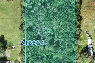 4520 E Saddle Creek Farm Rd, Lakeland, FL 33801 - Photo 1