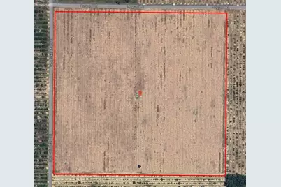 Dog Yard Road, Lake Wales, FL 33898 - Photo 1