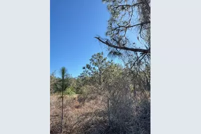 Old Grade Road, Polk City, FL 33868 - Photo 1