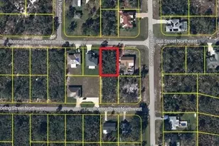 102 Buccaneer St NW, Lake Placid, FL 33852 - Photo 1