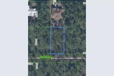 1702 Nectar Avenue, Sebring, FL 33875 - Photo 1