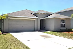 10033 Crested Fringe Dr, Riverview, FL 33578 - Photo 1