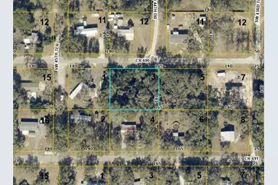 Cr 690, Webster, FL 33597 - Photo 1