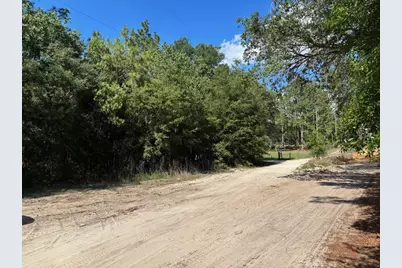 0B SW 93rd Place, Dunnellon, FL 34432 - Photo 1