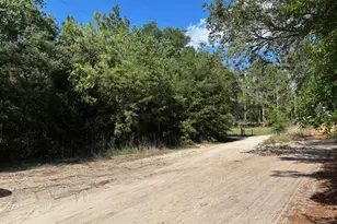 0B SW 93rd Pl, Dunnellon, FL 34432 - Photo 1