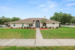3557 Tigereye Ct, Mulberry, FL 33860 - Photo 1