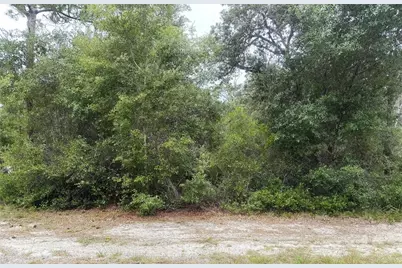359 Coolidge Avenue NE, Lake Placid, FL 33852 - Photo 1