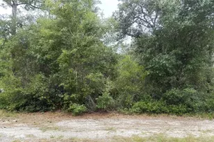 359 Coolidge Ave NE, Lake Placid, FL 33852 - Photo 1