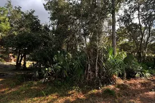 Westberry Terrace, North Port, FL 34286 - Photo 1