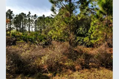 Filbert Street, North Port, FL 34288 - Photo 1