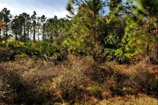 Filbert St, North Port, FL 34288 - Photo 1