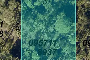 Boyd Ave, North Port, FL 34286 - Photo 1