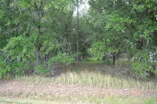 Bostick Rd, Bowling Green, FL 33834 - Photo 1