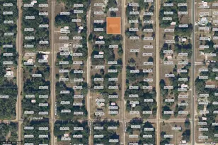 Guy Ave, Interlachen, FL 32148 - Photo 1