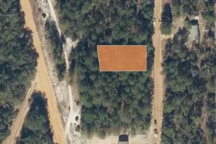 Perry Ave, Interlachen, FL 32148 - Photo 1