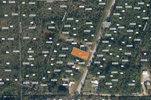 1692 S State Rd 19, Palatka, FL 32177 - Photo 1